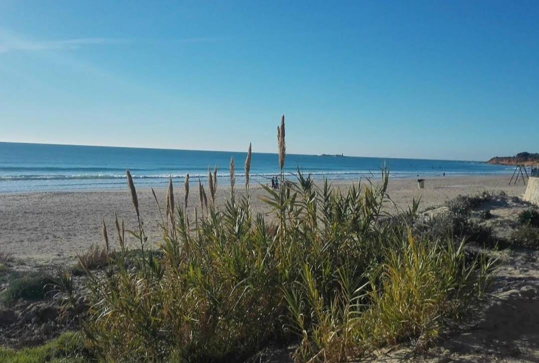 Apartamento Novo ,Chiclana Leilighet Chiclana de la Frontera Eksteriør bilde